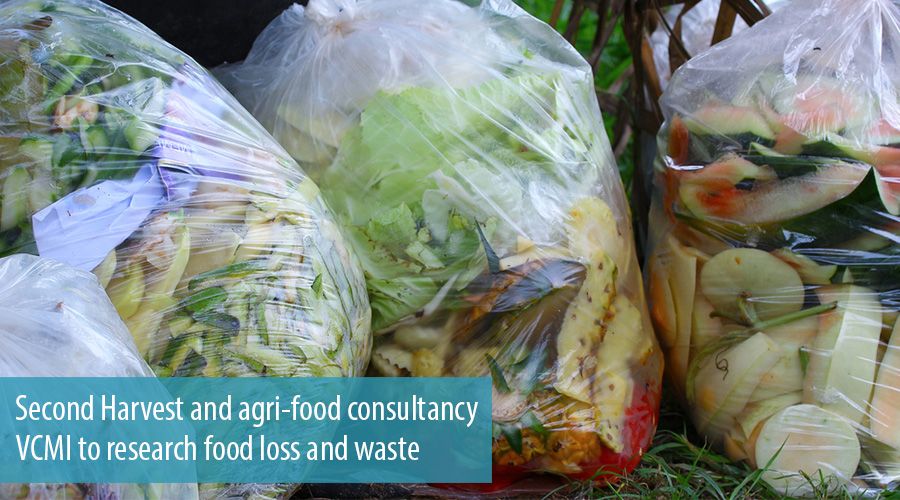 Second Harvest and agri-food consultancy VCMI to research food loss and waste