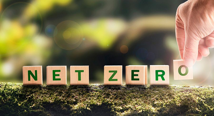 Avison Young pledges net-zero emissions by 2040
