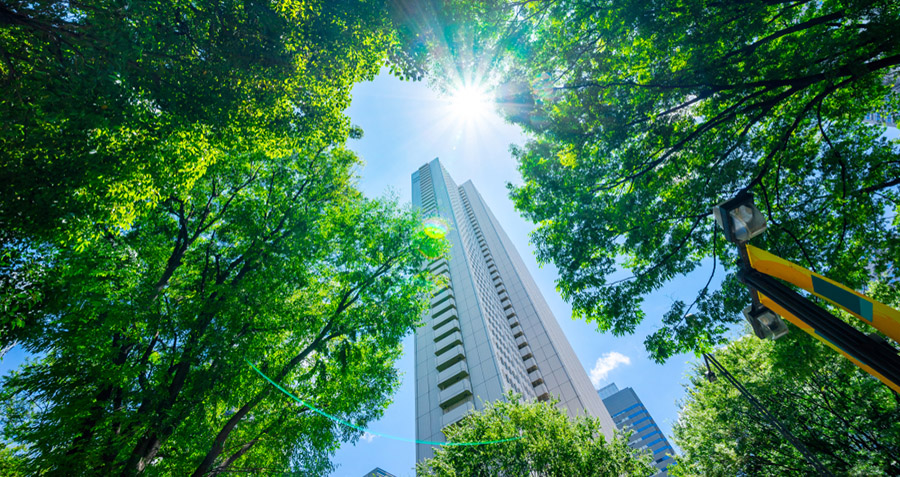 Businesses want more government incentives for green transition