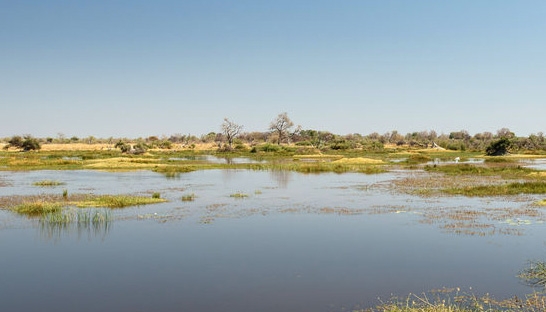 Consulting firms help Ghana with early warning systems