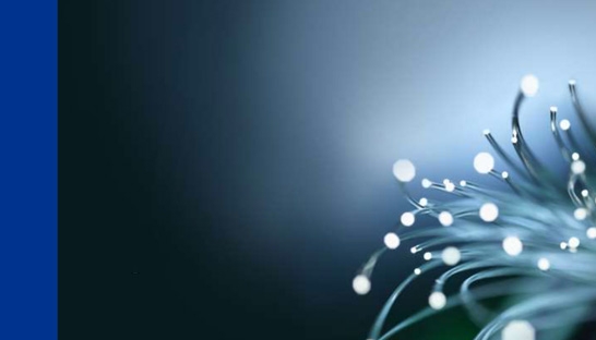 Investments in FinTech and InsurTech remain high