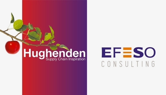 UK supply chain consultancy Hughenden joins Efeso Consulting