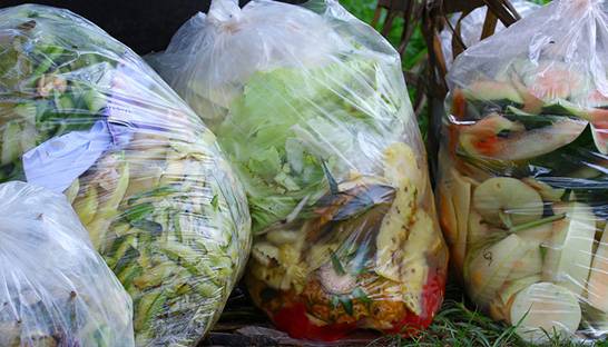 Second Harvest and agri-food consultancy VCMI to research food loss and waste