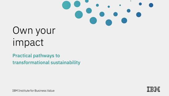 Majority of Middle East CEOs now rank sustainability a top priority