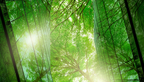 Businesses complain at lack of funding to reduce their own emissions