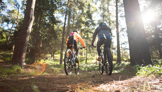 BDO selected for mountain bikes administration