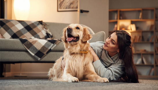 OC&C Strategy Consultants advises Quadrant on sale of Prime100 to Colgate-Palmolive