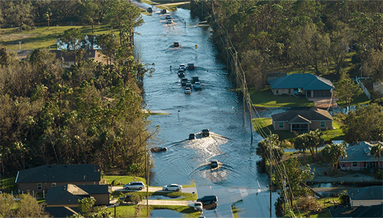 Top companies could lose $1 trillion annually to climate risks