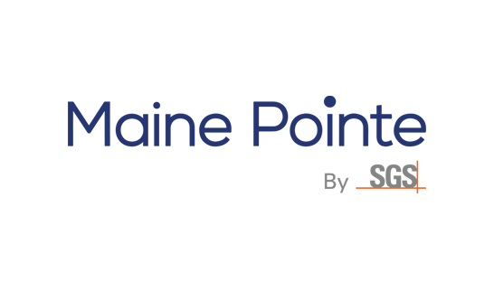 Consulting firm in Canada: Maine Pointe